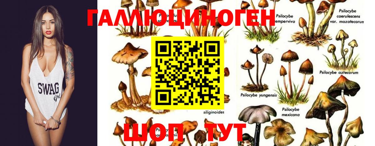 Астрахань  Галлюциногенные грибы Magic Shrooms  Вход с VPN 